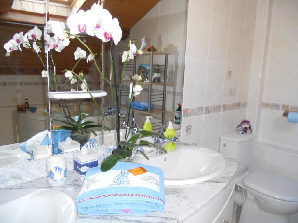 Les Hirondelles Chambres D'Hotes แซร์ ภายนอก รูปภาพ